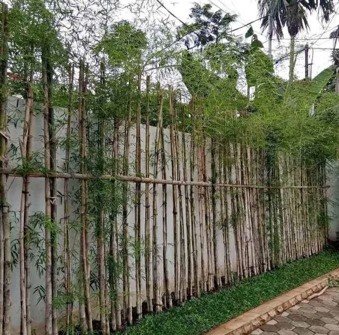 pagar taman Bambu-Jepang